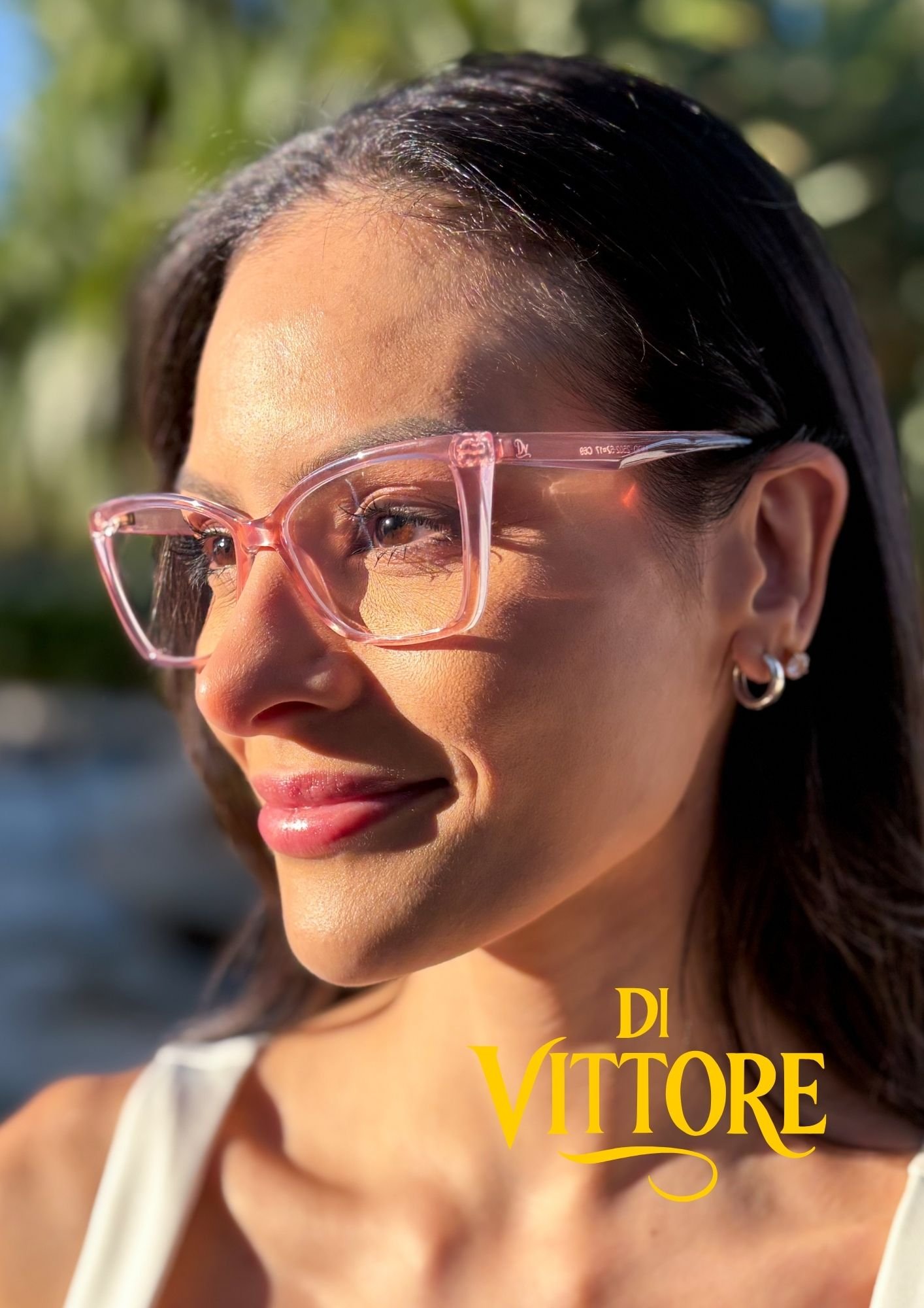 Di Vittore Receituário